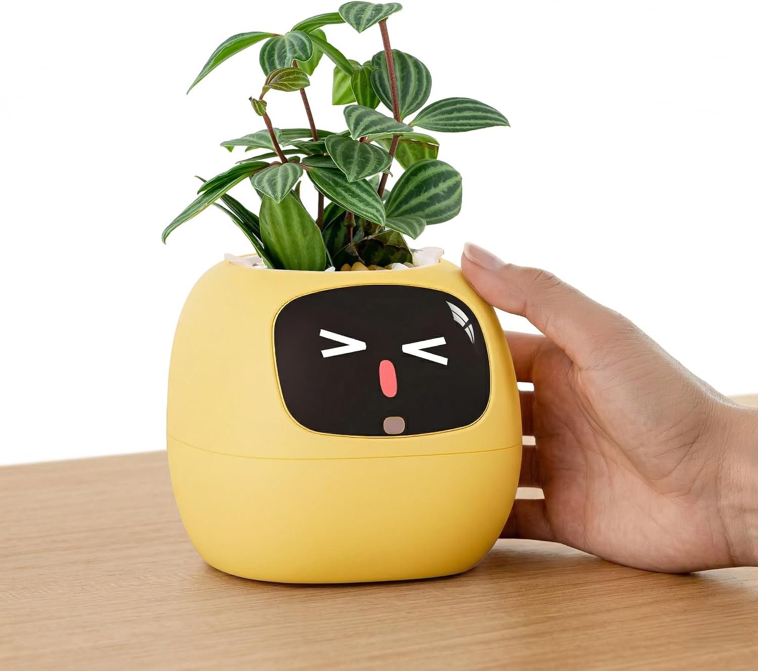 Best Smart Plant Pet Indoor Planter: Ivy Interactive AI Desk Companion Review 2026