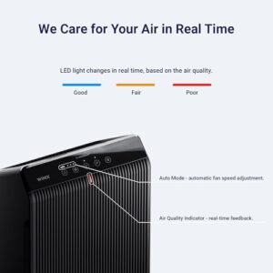 Best WINIX 5510 Air Purifier Review 2026: Ultimate HEPA Protection