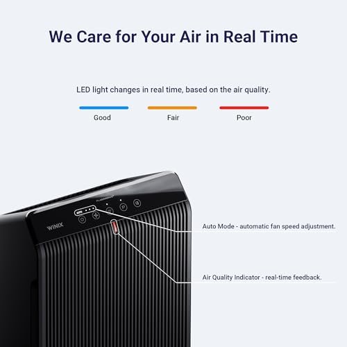 Best WINIX 5510 Air Purifier Review 2026